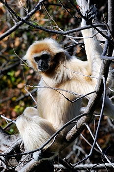 20111229-waco-zoo-001