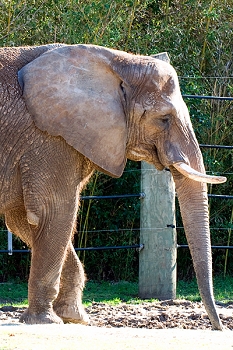 20111229-waco-zoo-011