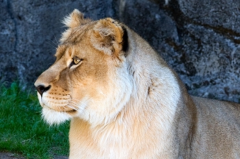 20111229-waco-zoo-013