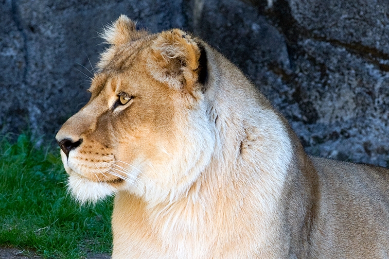 20111229-waco-zoo-013.jpg