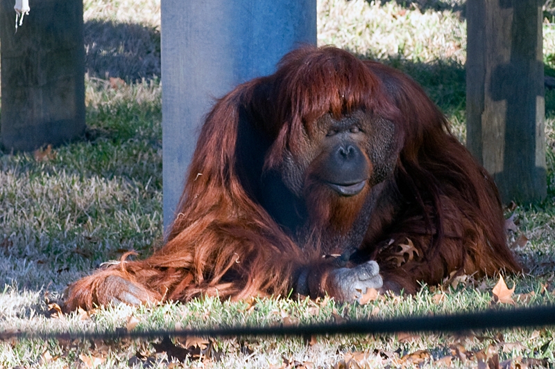 20111229-waco-zoo-014.jpg