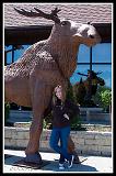 20090515_niagara_018