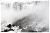 20090515_niagara_039