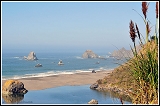 20090918_northern-california_003