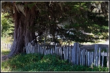 20090918_northern-california_016