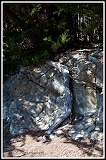 20090918_northern-california_018