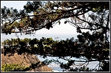 20090918_northern-california_020