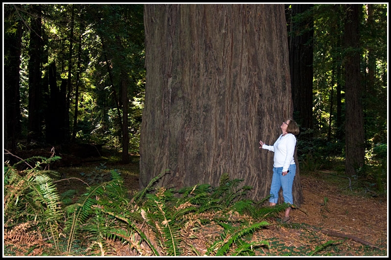 20090919_northern-california_046.jpg