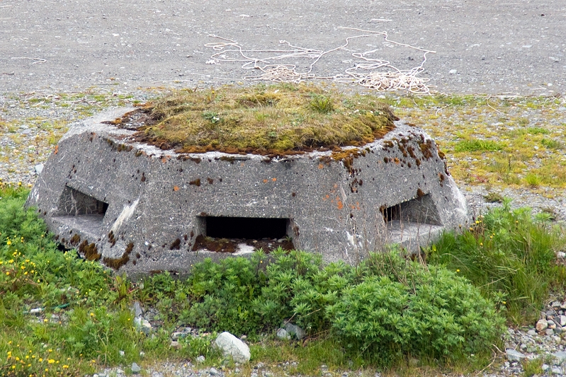 20100624-dutch-harbor-_-akutan-009.jpg