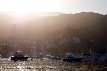 20130420-catalina_island-012