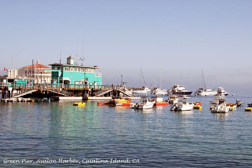 20130420-catalina_island-004.jpg