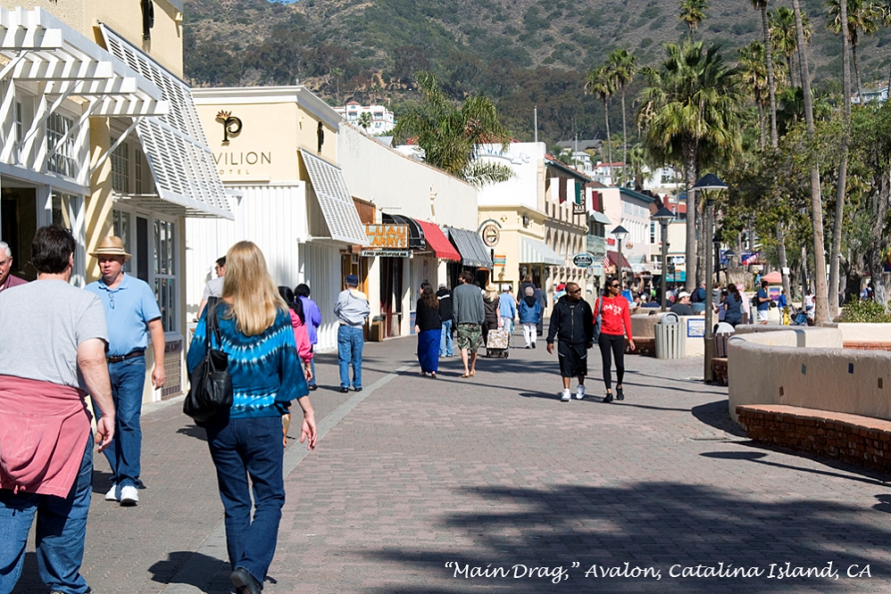 20130420-catalina_island-005.jpg