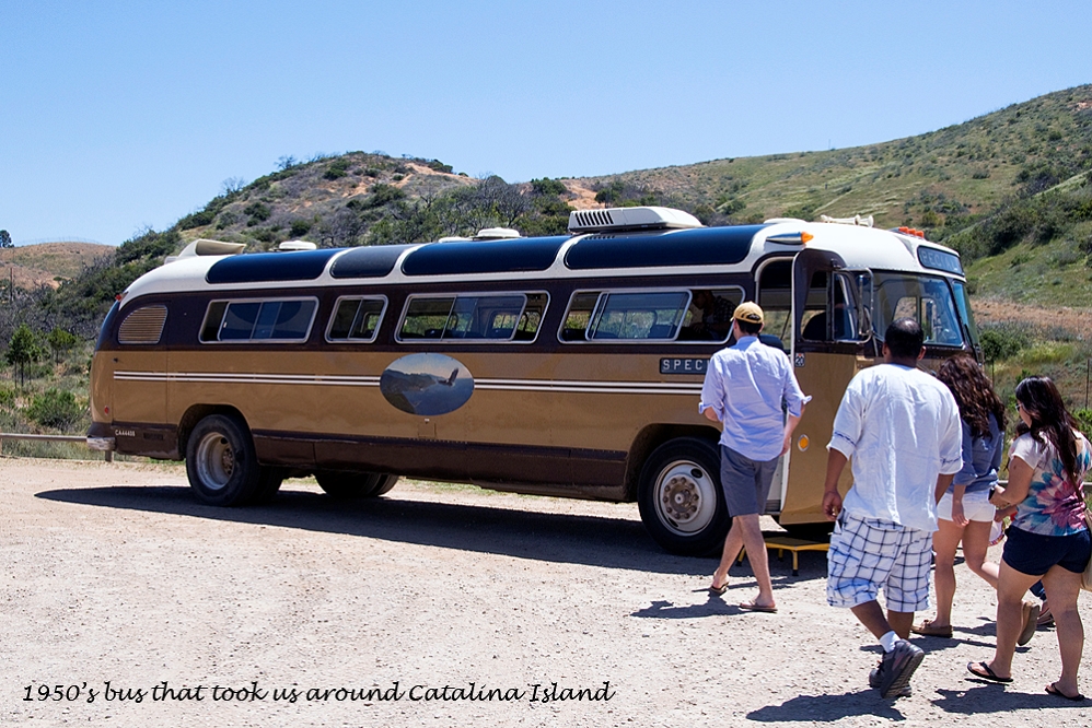 20130420-catalina_island-006.jpg