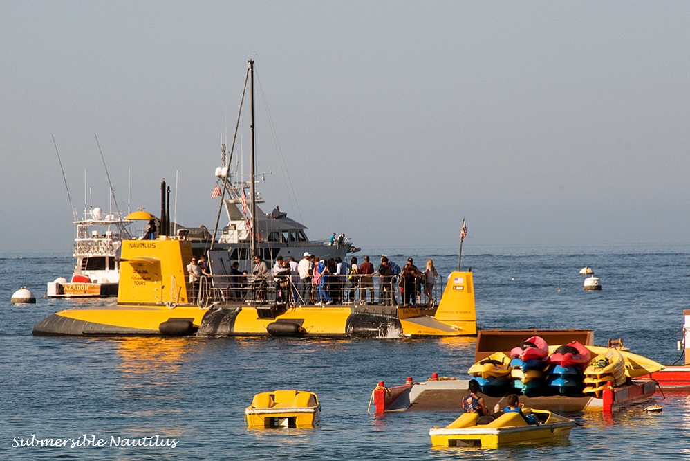 20130420-catalina_island-010.jpg